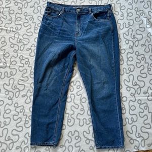 American Eagle Mom Jean